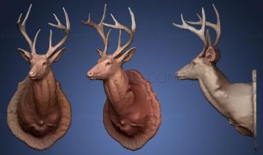 3D model Deer Head Mount (STL)